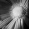 0dcac1c73a79f65acb439cc161dbc8ef.jpg