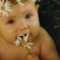 lesia