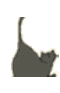 ии