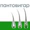 Пантовигар