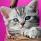 Lyly