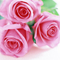 Marianna