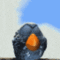 Nasty_lucky