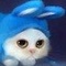 Bunnyster