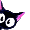 Rioka